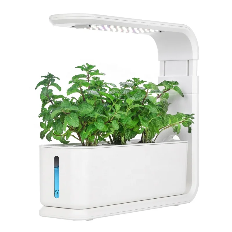 Full automatic 3 pods hydroponics indoor vertical farming wall growing system made in china