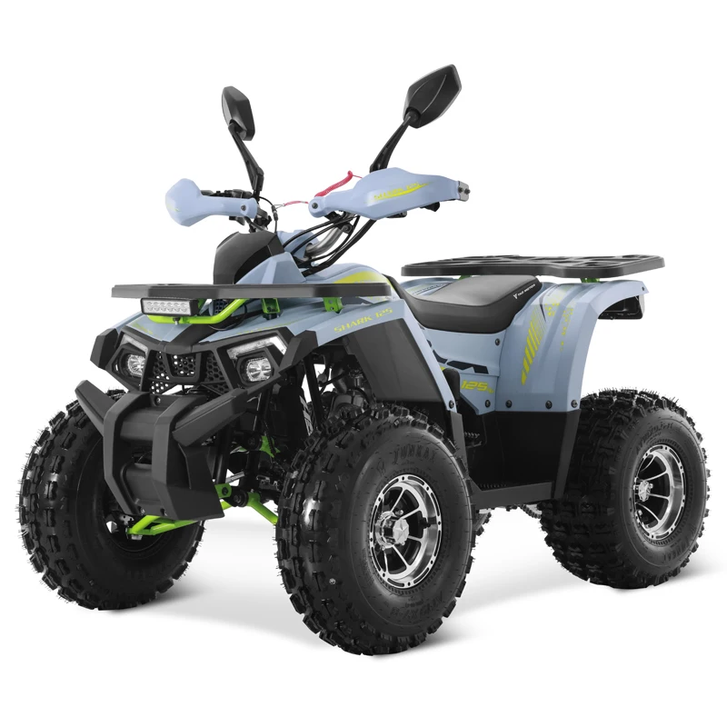 Tao Motor 2025 New Alloy Rim Chain Drive Automatic with Reverse 125cc ATV Chinese Cheap Farm ATV 125