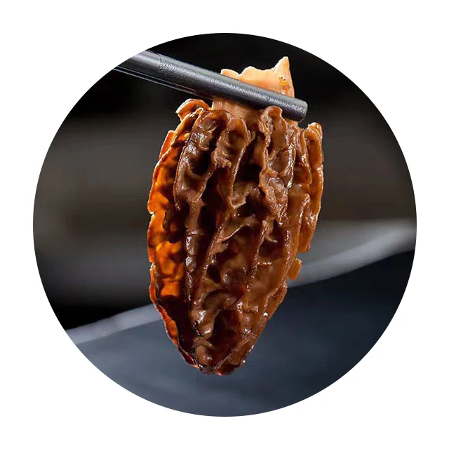 Морели из Китая оптовая продажа сушеные морели поставка для