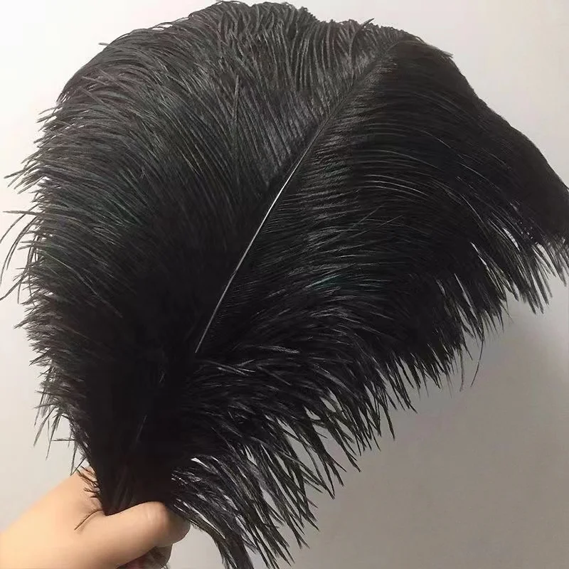Hot Sale Cheaper ostrich feathers colored ostrich feathers 12 in