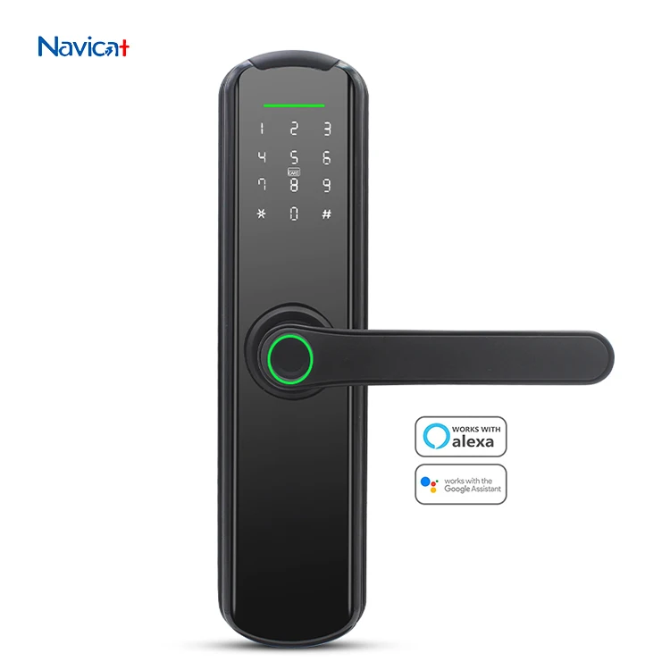 Intelligent Number Small Smart Main Fingerprint Electronic Access Mobile Control Door Lock Zinc Alloy With Sdk Alexa
