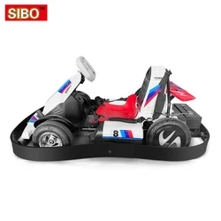 2022 Go Kart Kit Steering Wheel With Instrument One Seat Go Karts Engine Karting