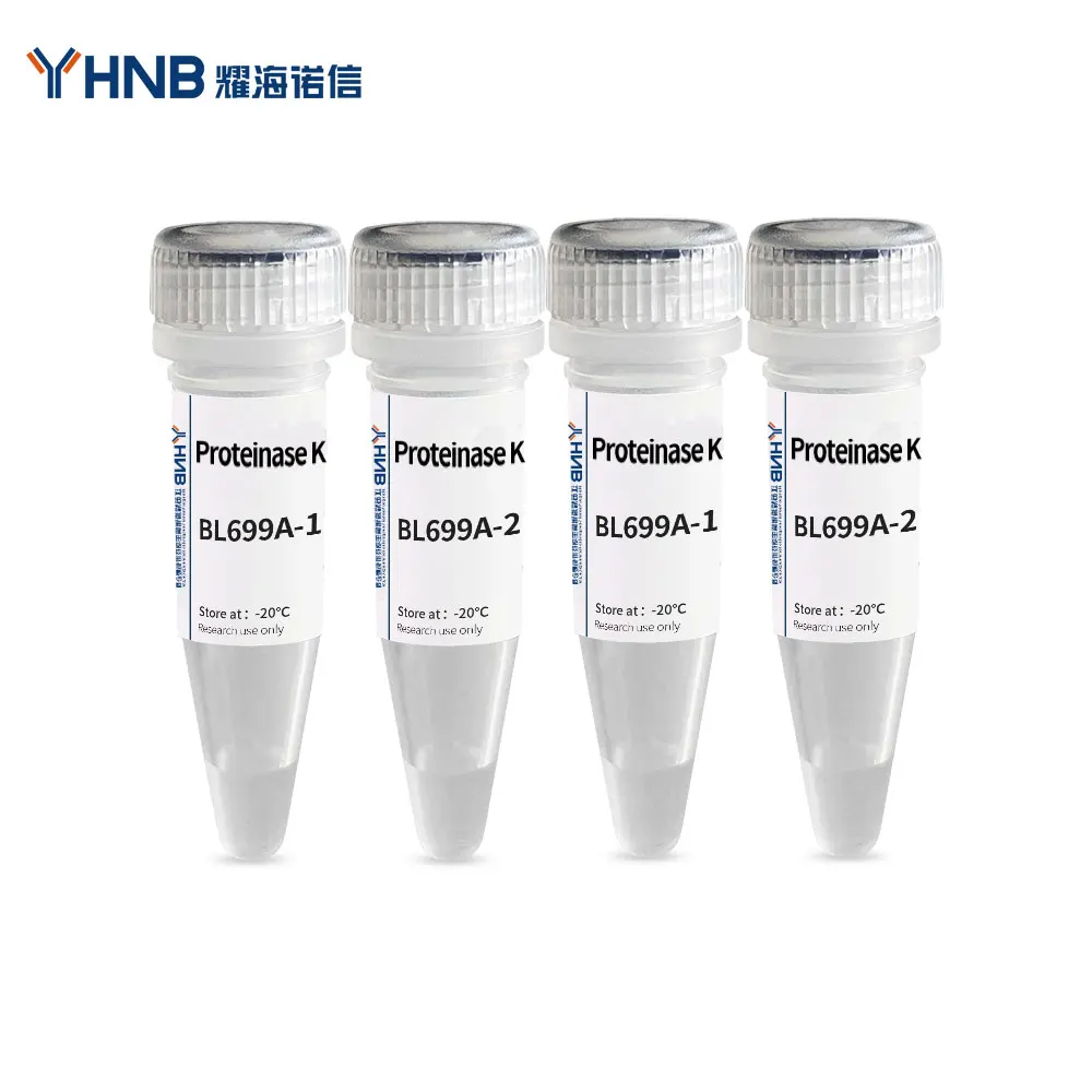 Lab Supply Cas 39450-01-6 Purity 98% Proteinase K For Dna Extraction