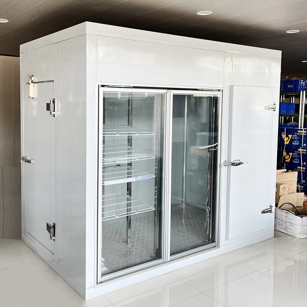 Cold Storage Rooms Walk In Freezer Mobile Container Cold Room Refrigerator Equipment for Vegetables Fruits