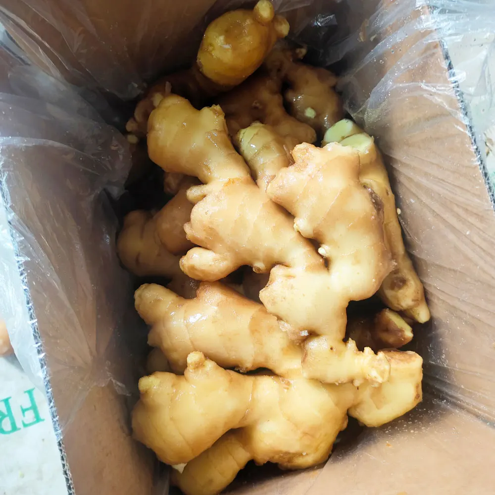 2023 new crops Fresh Dry jengibre Buy Dried Ginger Buyers For Wholesale China Ginger For Sale Cheap Price