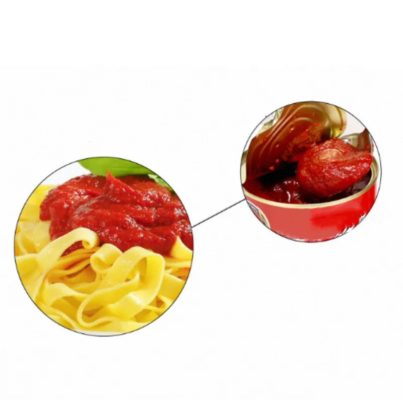 Wholesale delicious canned dehydrated tomato