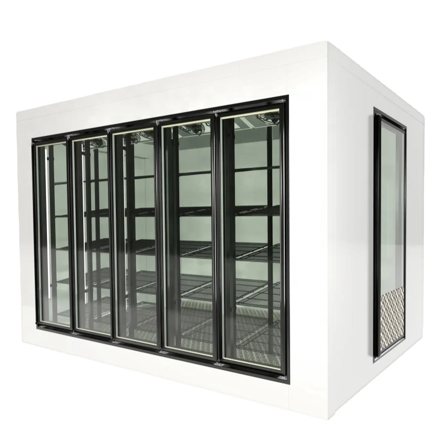 Walk in Cooler Freezer Cold Room panel and glass door with shelf