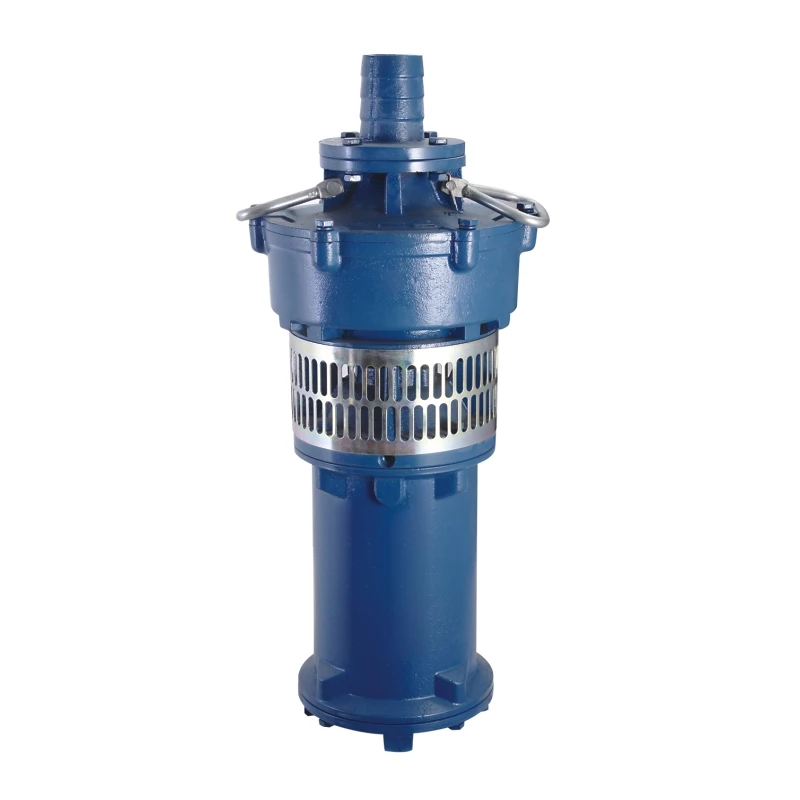 
QY8.4-40/2-2.2 3HP 2.2Kw Submersible Pump Sewage Pump 