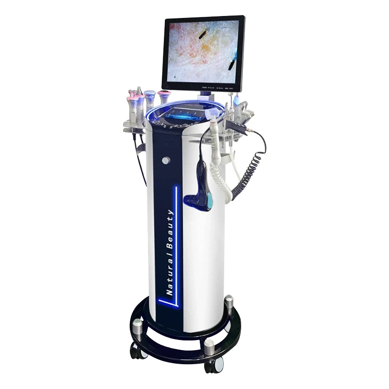 Cheap Factory Price Ice Relaxing Blemish Clearing Hydration Facial Skin Care Machine