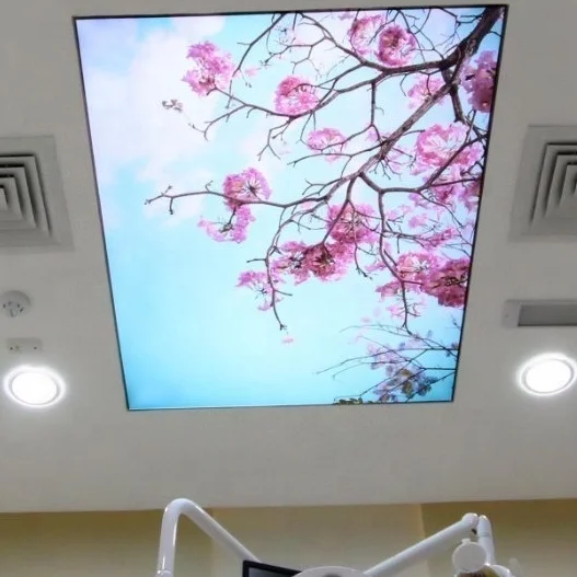 ZHIHAI hotel hall decor green tree leaves colorful flower cloud sky print modern interior designs 3d stretch ceiling