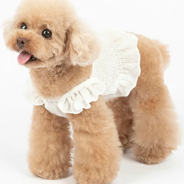 JXANRY Summer Pets Chiffon Dot Shirt Dog Cute Clothes Print Dot Dress Teddy Bear Midriff Costume Cat Suit French Bulldog