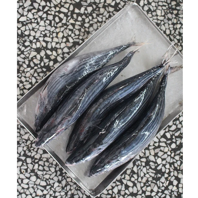 Замороженные сардины, тунец, 500-1000 г