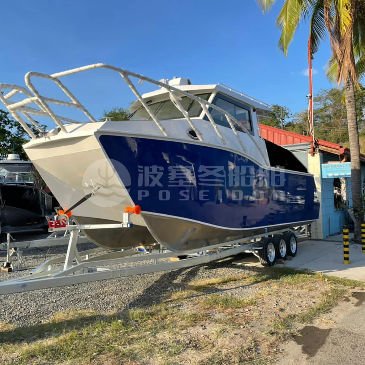 29ft Watersport Catamaran Leisure Multifunctional Racing Boat for Offshore Waters