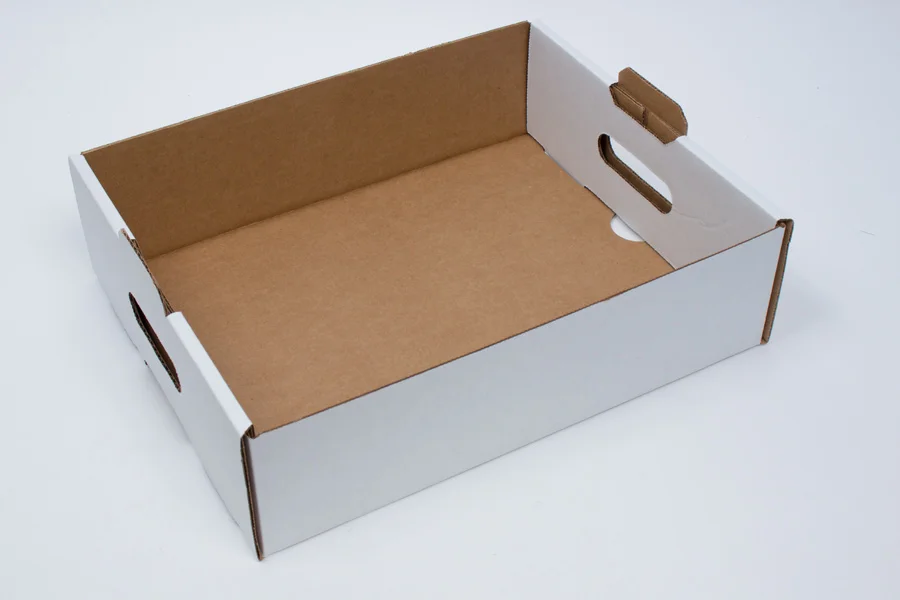 Bio-Degradable White  Paper Cardboard  Catering Tray   With  Lids