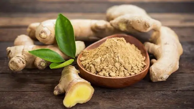 Natural Pure Dried Ginger Root Extract Powder Gingerol/plant extract