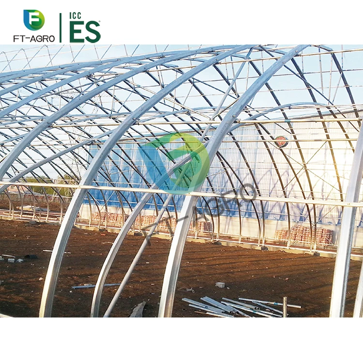 Economic hot galvanized single-span green house film vegetable greenhouse