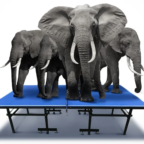 Blue Green  12mm 15mm 18mm 25mm Desk Thick Portable Folded Tennis PingPong Table