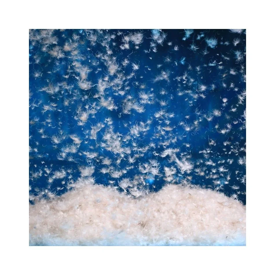 Bulk Down Pillow Filling Washed Grey Goose Down 90% Goose Down Duvet Inner Eiderdown