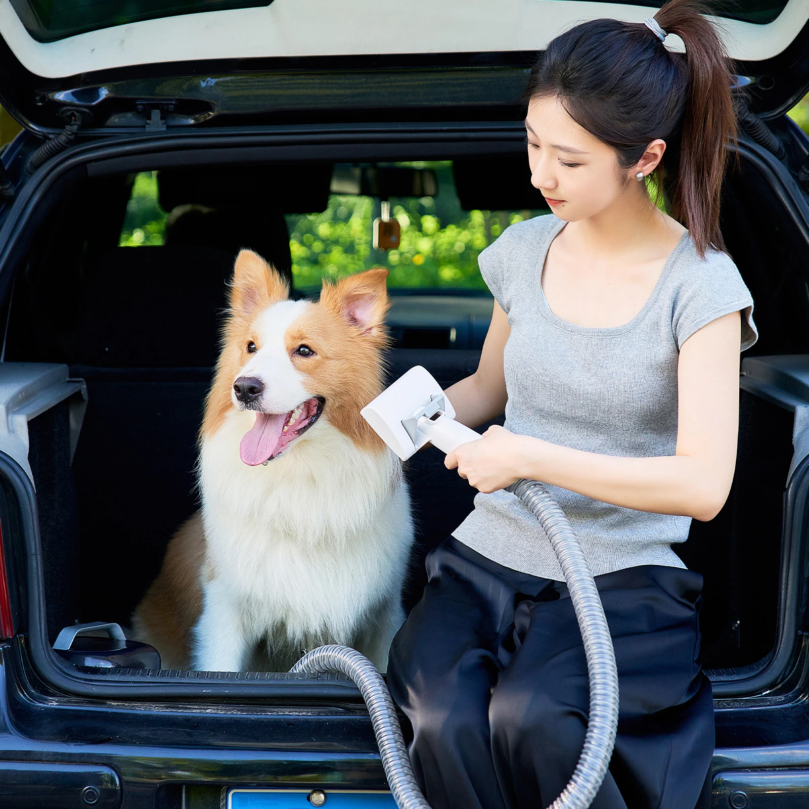 High Efficiency Pet Hair Vacuum, Quiet Operation and Large Capacity for Easy Use