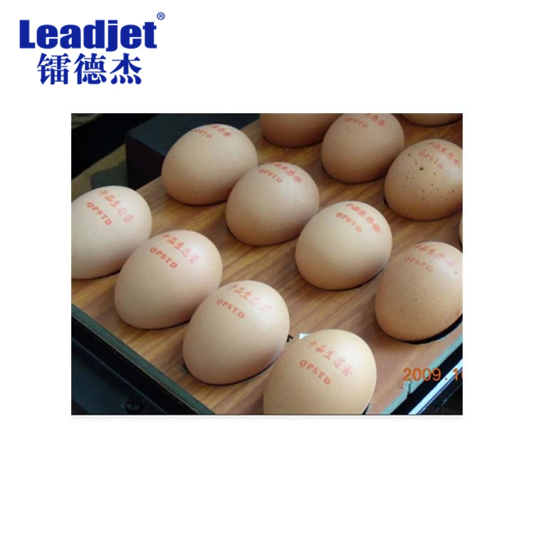 Industrial expiry date coding machine Dots inkjet printer