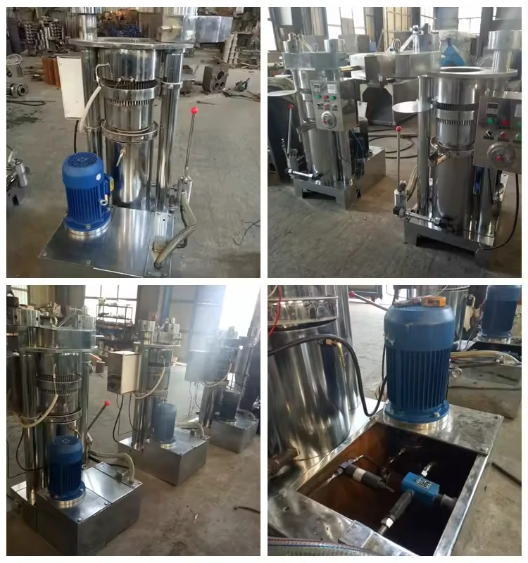 Best Oil Press Machine Cold Press Mustard Oil Machine Seed Oil Extractor