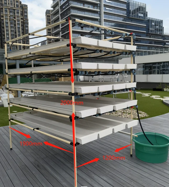 Farm Hydroponic Automatic Fodder Growing System For Sheep Agriculture