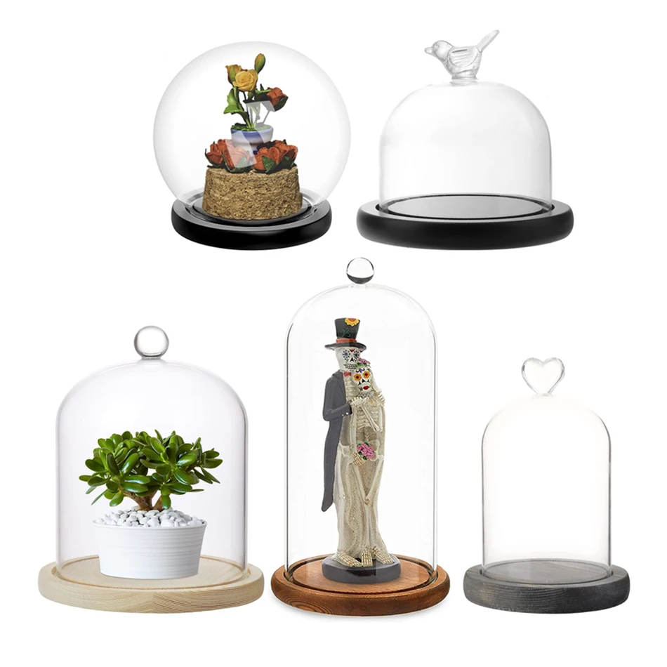 glass dome centerpiece christmas decor manufacturer ruifeng glass 12 / 18 white crown cork wood base led mini for dry flower