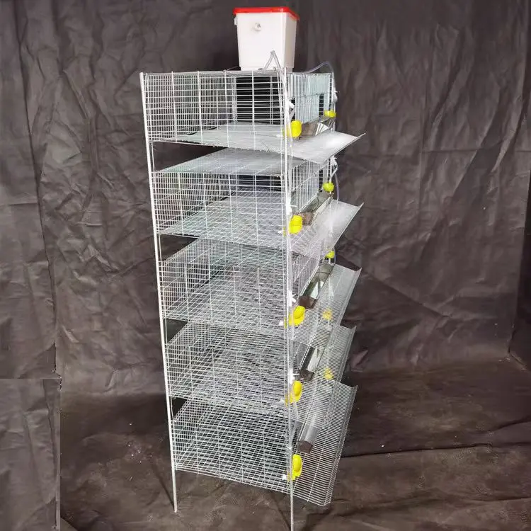 Hot sale quail cage for male and female fertilized eggs commercial quail cage for jumbo quails