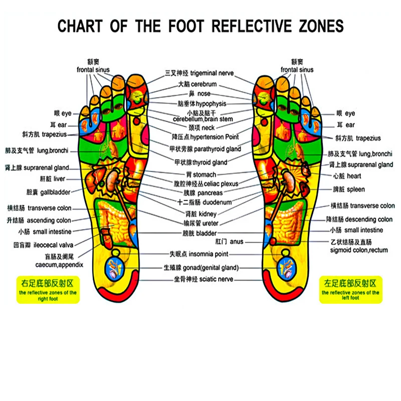 Wholesale Hot Sale Unisex Fashionable Style Improve Sleeping Blood Circulation Stone Therapy House Slippers Foot Massage Shoes