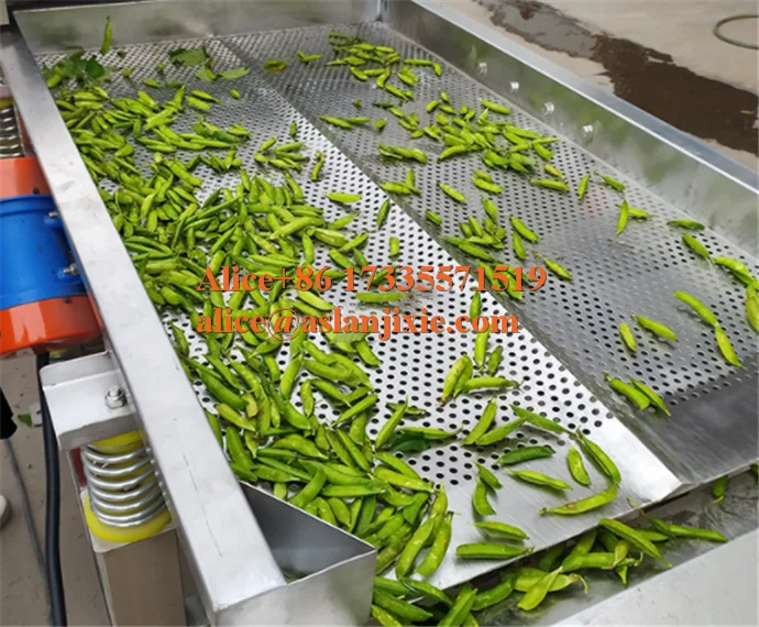 Edamame pea carob air bubble ozone washing machine/high pressure water sprayer vegetable cleaner