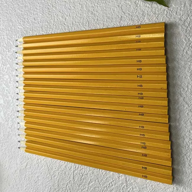 Customized Sprout Colour Pencils Forget me not Made from Certified Wood Plantable Pencil