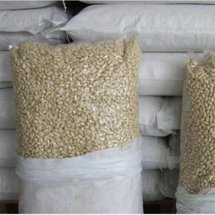 Blanched Peanut Kernel China Shandong Origin Low Price Raw Peeled Peanut Kernels Nuts For Sale Size 25/29