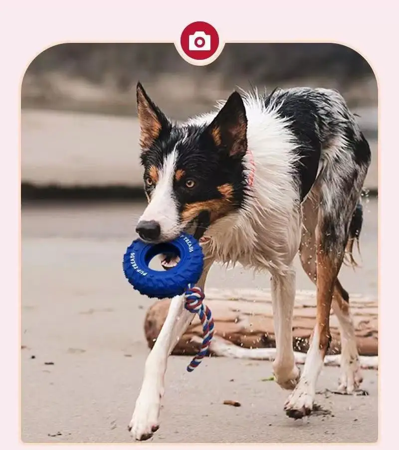 Interactive Training Toys Cleaning Teeth For Large Dog Natural Rubber Dog Bite Chew Toys Durable Dog Toy Tire