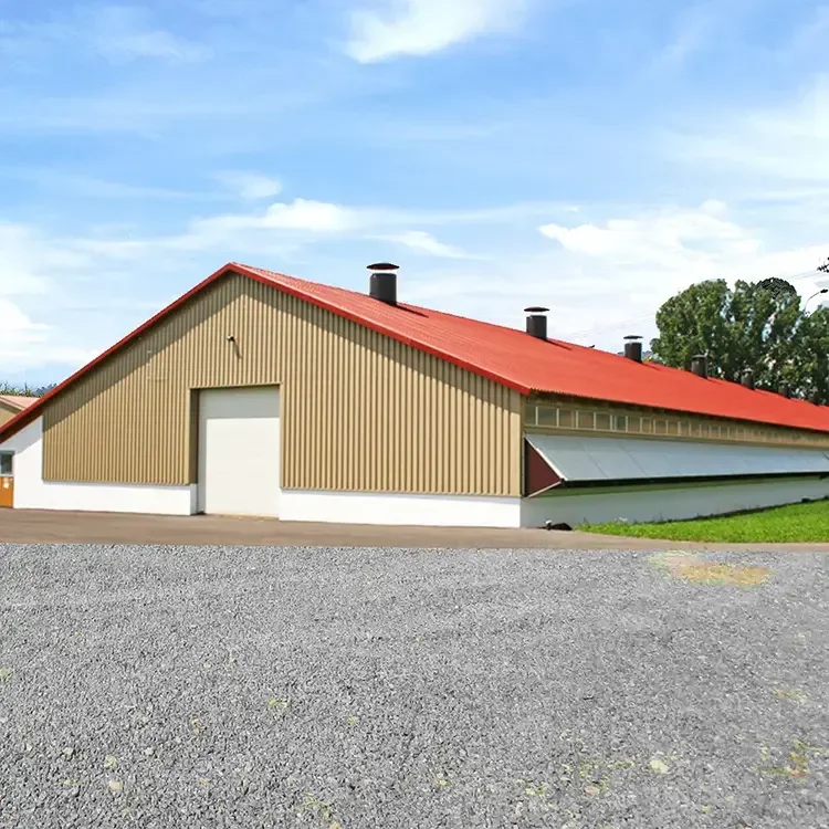Affordable Prefabricated Poultry Farm Shed for Pakistan