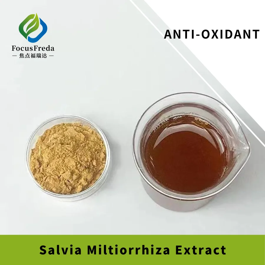 Salvia Miltiorrhiza Экстракт сальвианоловая кислота B >3% порошок экстракт корня Danshen