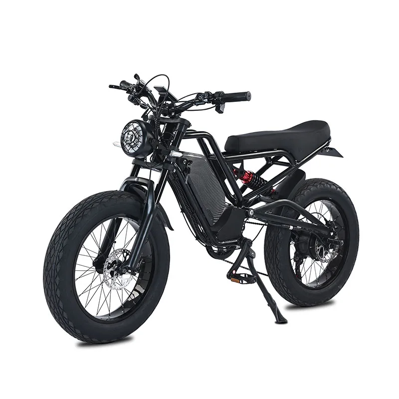 High Power Fat Tire E-bike Frame Electric Dirt Bike Adult Off-road Motorcycles Double Battery Design 750W Electric Bicycle