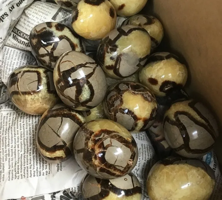 Wholesale natural beetle stone tortoiseshell stones eggs septarium egg for decoration
