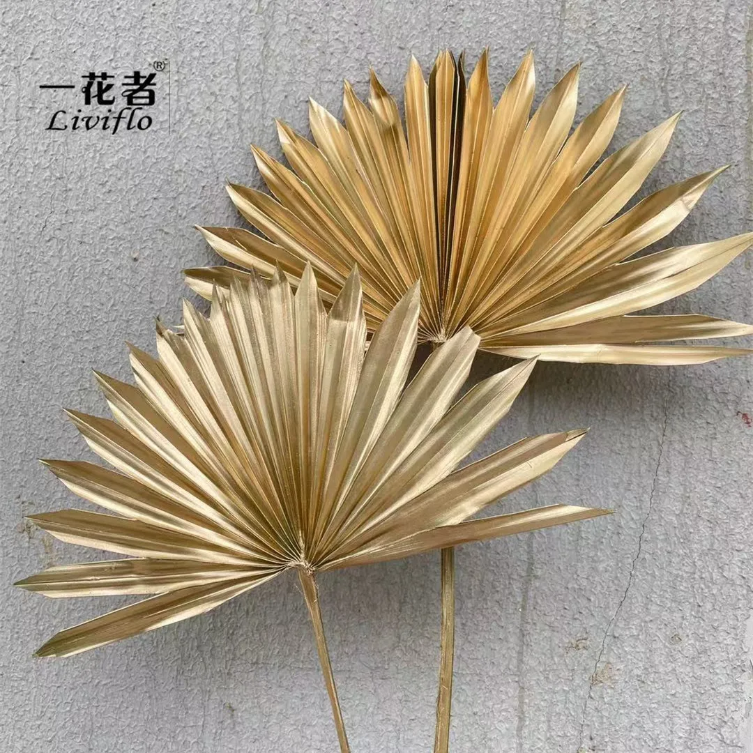 Yunnan Hot - Selling Dried Leaf Dried Small Palm Fan Carton Box Decorative Flowers & Wreaths 5 Color Long Time 50g Liviflo Pbw61
