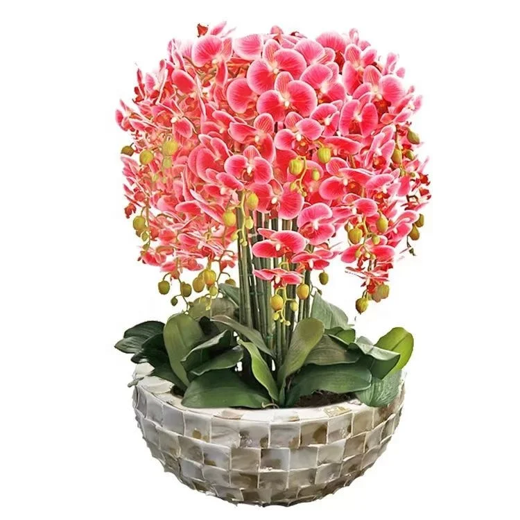 High Quality Luxury Mother of Pearl Shell Vase Round Bowl MOP Planter Pot from China