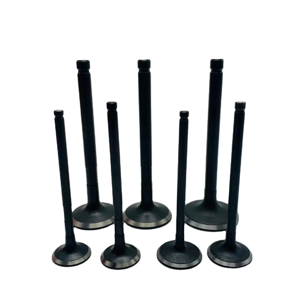 Intake & exhaust valves for BMW N54B30A 11347553775 11347553776  intake and exhaust valves and accessories