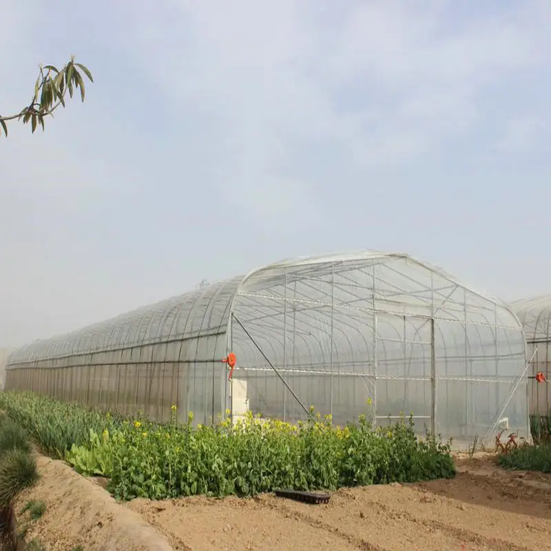 Agriculture hydroponic tunnel greenhouse electric winch with reduction