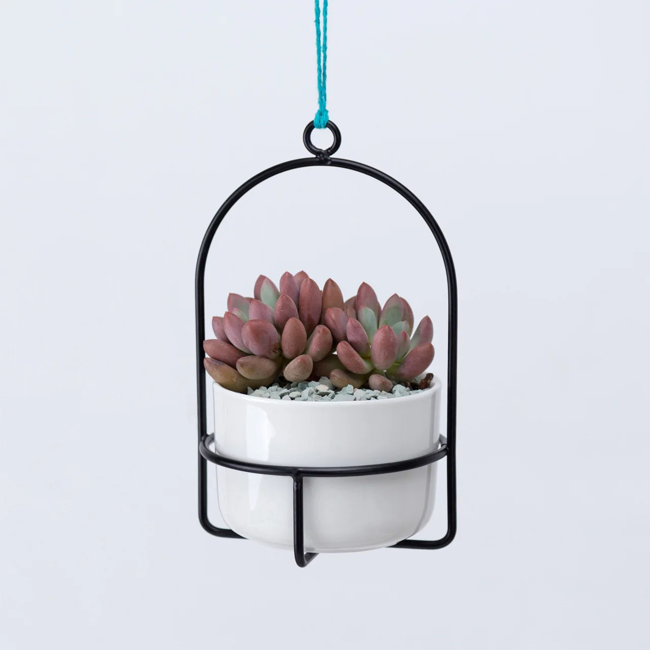 
Manufacturer plant pot hanging creative ceramic succulent plant flower pots 