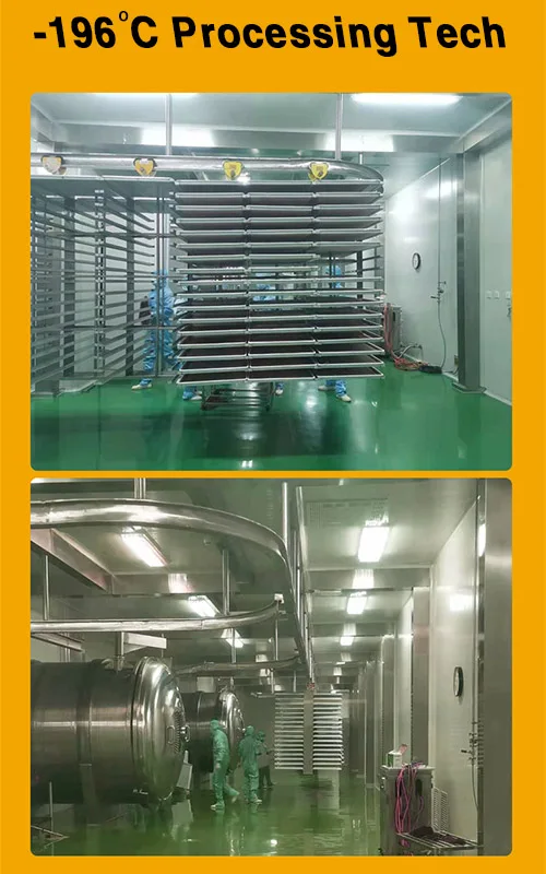 Manufacturer Sea Buckthorn Extract Oil Organic Seabuckthorn Whole Fruit Freeze Dried Powder Wholesale China Food Sunset Yellow