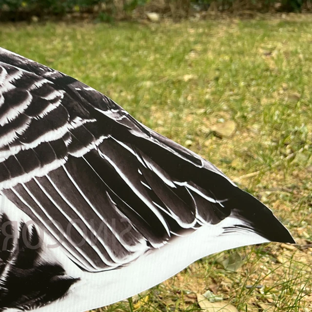 Hunting Plastic Products Custom Snow Goose  silhouette Decoys Hunters Corrugated Board Decoy Best Price PP Sheet