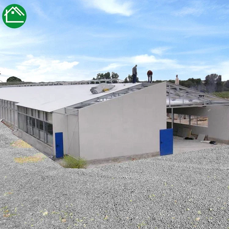 Modern Design Prefab Steel Structure Chicken Poultry Farm  For Sale