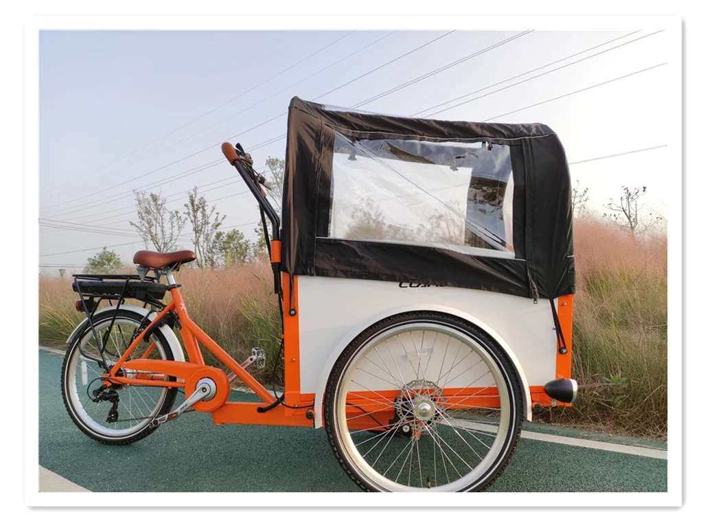 Eu warehouse 3 wheel 250W motor electric adults cargo tricycle cargo kids bike for sale family cargo bike dutch