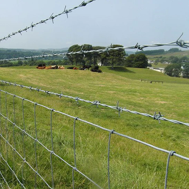 1.6mm 500m 25kgs/roll Arame farpado Security Hot Dipped Galvanized Barbed Wire for Brazil