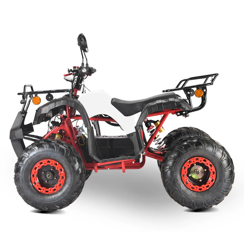 2000w adults electric quad bike with eec coc certificate