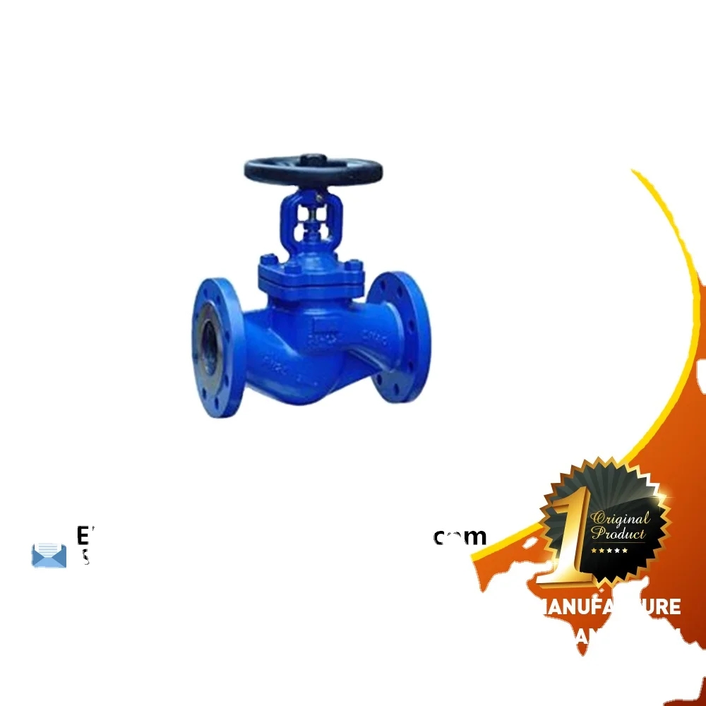 DIN Bellow Sealed Globe Valve GS-C25