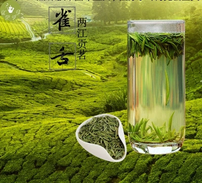 Chinese zhu ye qing famous tea brand, high mountain green tea brand, slimming health green tea bamboo green tea